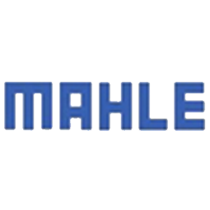MAHLE-1